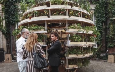 How to have a garden when you don’t